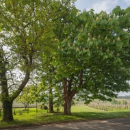 img Vue ext�rieure du G�te Ch�teau Graulet